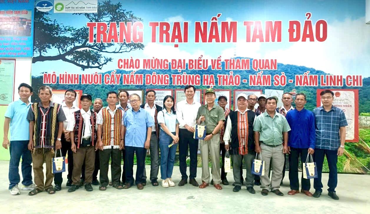 Hợp tác xã Nấm Tam Đảo: Điểm sáng kinh tế nông nghiệp vùng Tam Đảo