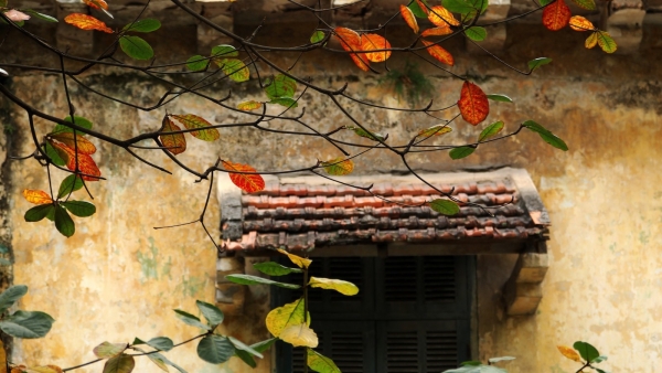 Dự báo thời tiết ngày 24/11/2025: Nam Bộ mưa dông rải rác