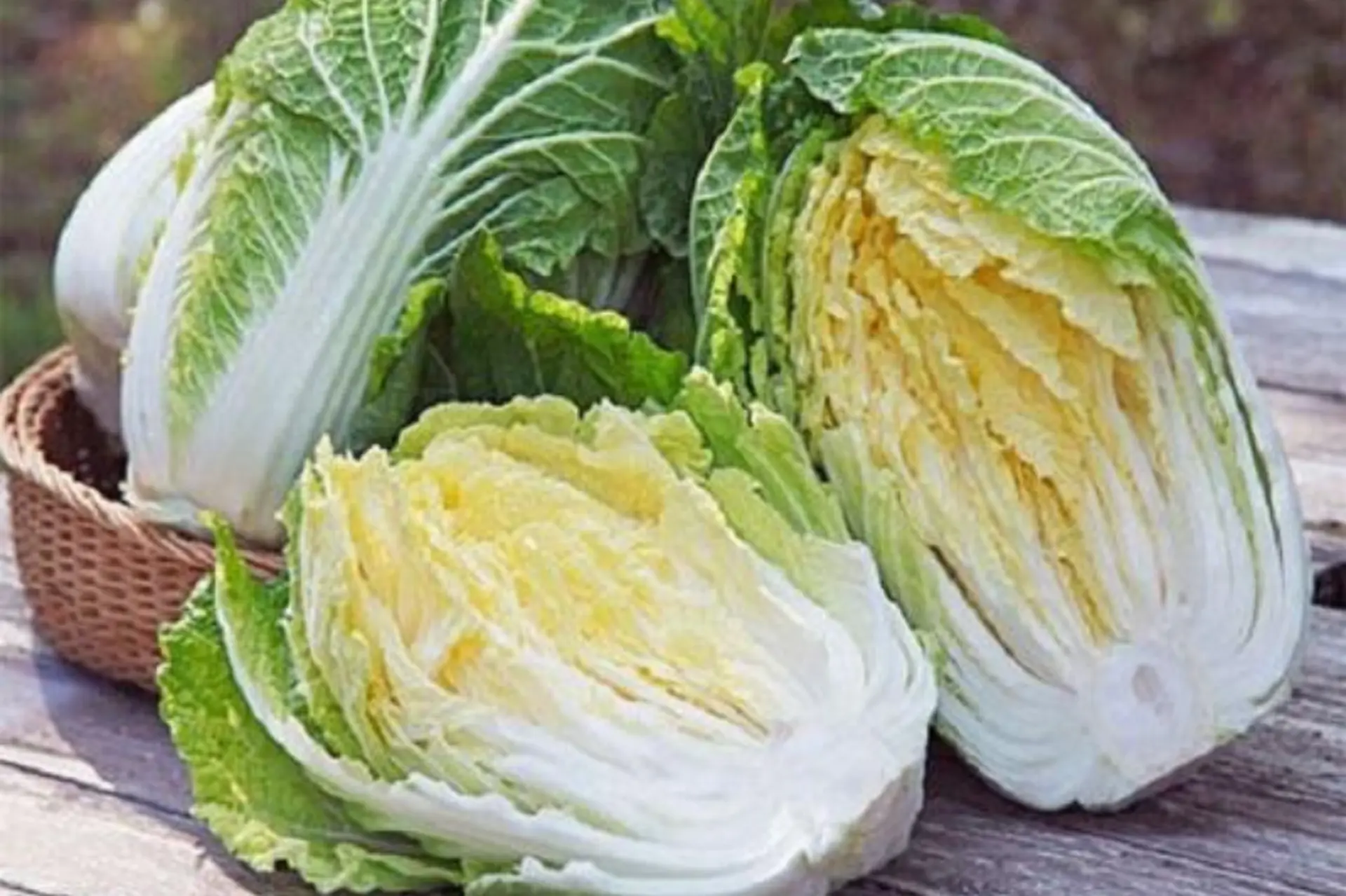 Cải thảo - “thực phẩm vàng” cho sức khỏe và sắc đẹp