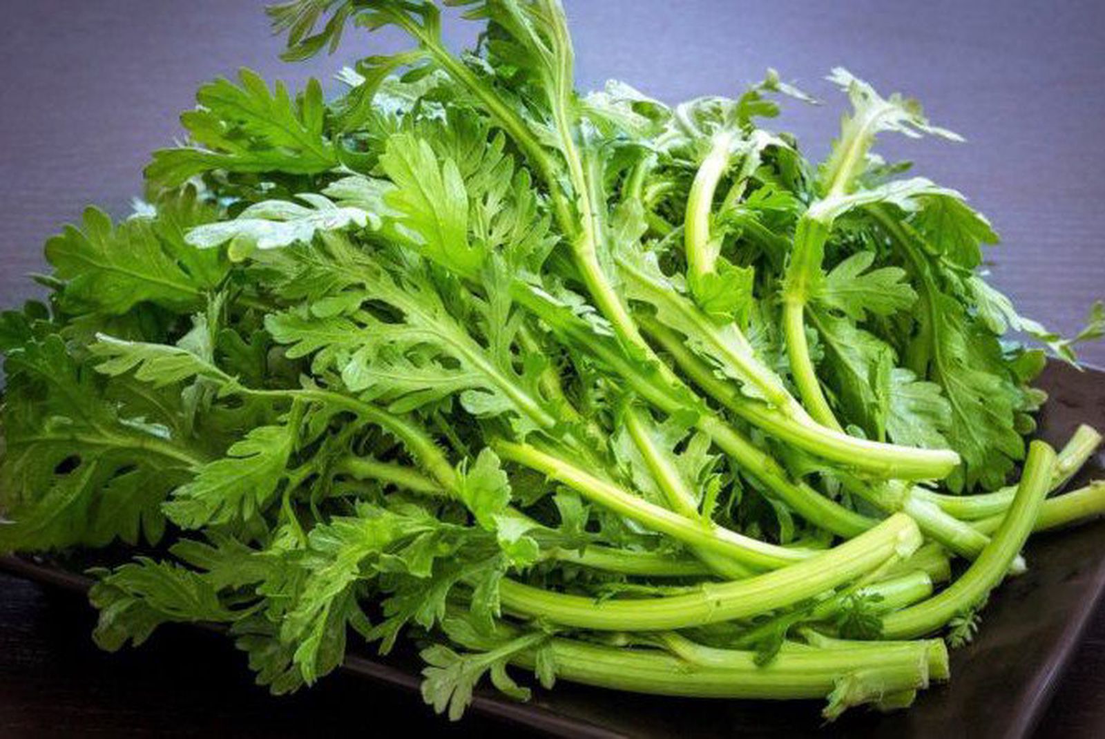 Cải Cúc - Trang trại Đồi Chồi