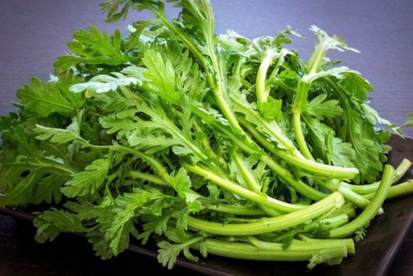 Rau cải cúc – vị thuốc tự nhiên giúp phòng ngừa và hỗ trợ điều trị nhiều bệnh lý