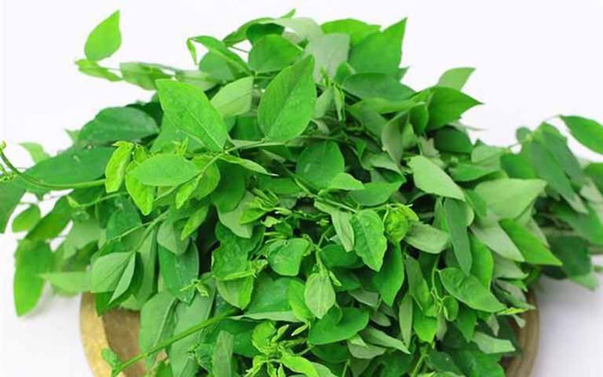 Rau ngót: Thực phẩm giàu sắt hơn thịt bò, lợi ích và lưu ý khi sử dụng