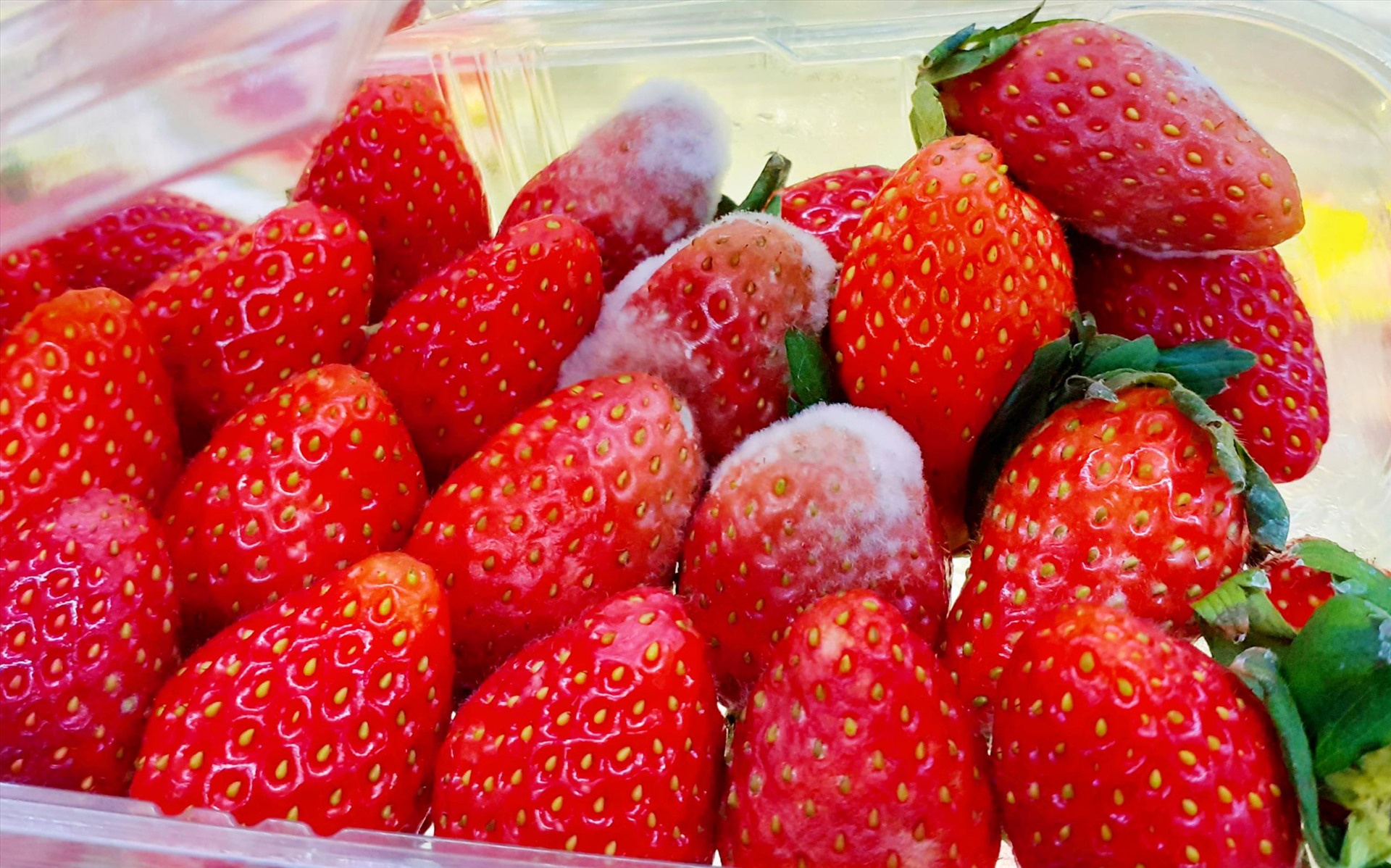 Bỏ sớm 3 thói quen nuôi dưỡng tế bào ung thư