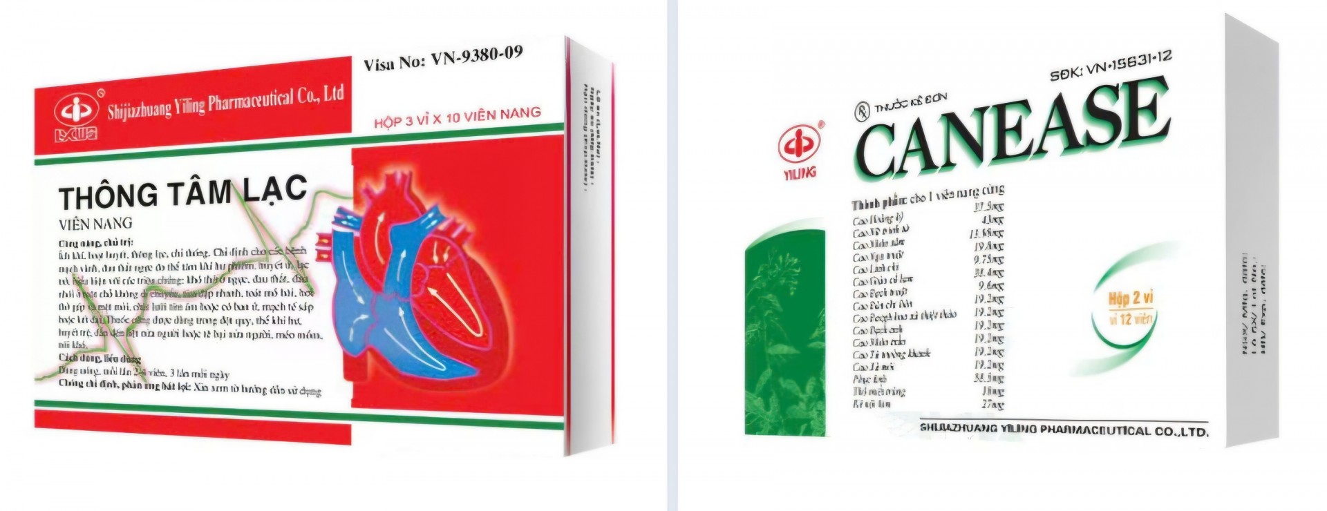 Diễn đàn quốc tế Lạc Bệnh Học lần thứ 21: Hội Nam Y Việt Nam làm cầu nối đưa Lạc Bệnh Học vươn tầm thế giới Diễn đàn quốc tế Lạc Bệnh Học lần thứ 21: Hội Nam Y Việt Nam làm cầu nối đưa Lạc Bệnh Học vươn tầm thế giới