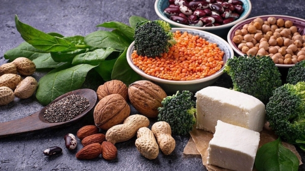 Lợi ích của protein thực vật đối với sự phát triển cơ bắp