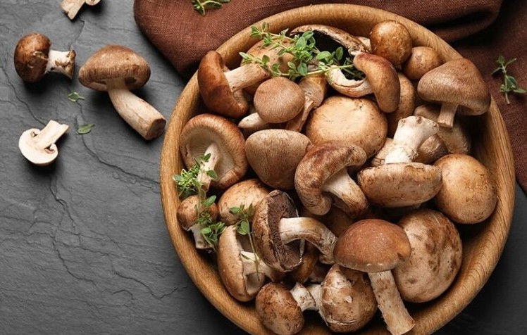 Nấm hương - "Trợ thủ cho sức khỏe" từ gian bếp