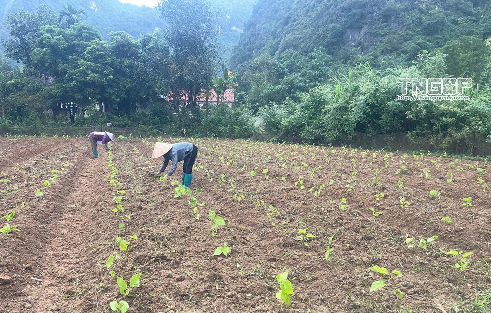 Những cách làm sáng tạo trong xây dựng nông thôn mới tại Thái Nguyên