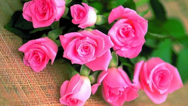 Dự báo thời tiết ngày 28/11/2025: Vùng núi Bắc Bộ có nơi dưới 9 độ C