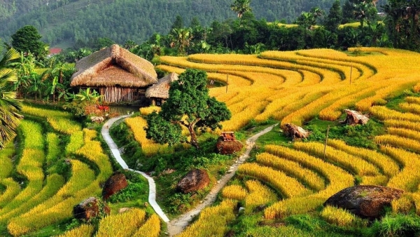 Dự báo thời tiết ngày 1/12/2025: Miền Bắc ngày nắng, đêm và sáng sớm trời rét