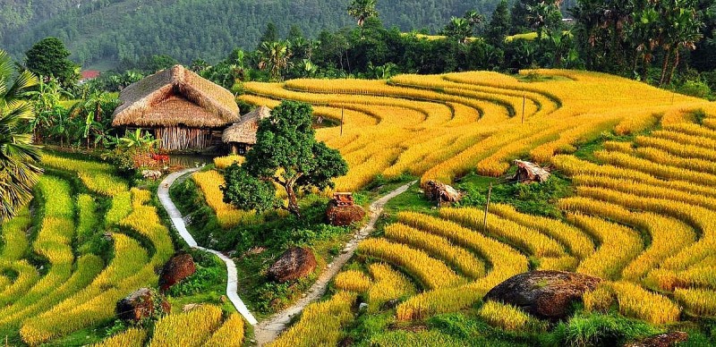 Thời tiết ngày 1/12/2025: Miền Bắc, Hà Nội ngày nắng, trời rét