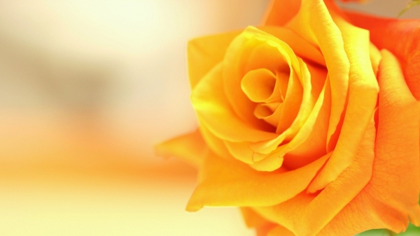 Dự báo thời tiết ngày 2/12/2025: Bắc Bộ đêm và sáng có mưa, vùng núi trời rét