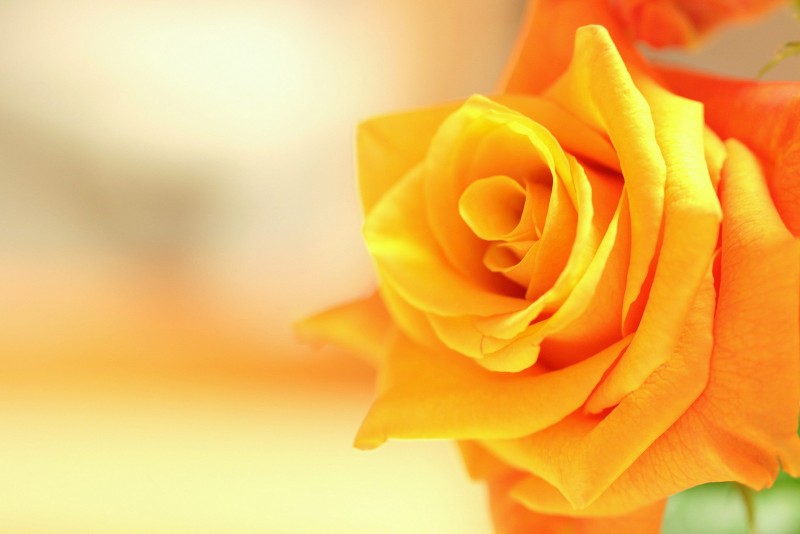 Dự báo thời tiết đêm nay và ngày mai 2/12: Hà Nội và các khu vực trên cả nước