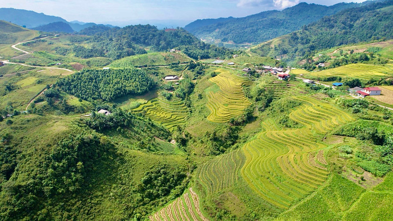 Thái Nguyên đẩy lùi tảo hôn và hôn nhân cận huyết tại các xã vùng cao Thái Nguyên đẩy lùi tảo hôn và hôn nhân cận huyết tại các xã vùng cao