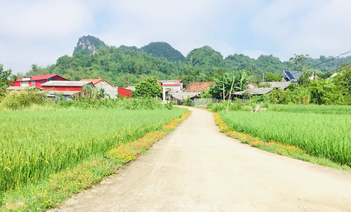 Thái Nguyên đẩy lùi tảo hôn và hôn nhân cận huyết tại các xã vùng cao Thái Nguyên đẩy lùi tảo hôn và hôn nhân cận huyết tại các xã vùng cao