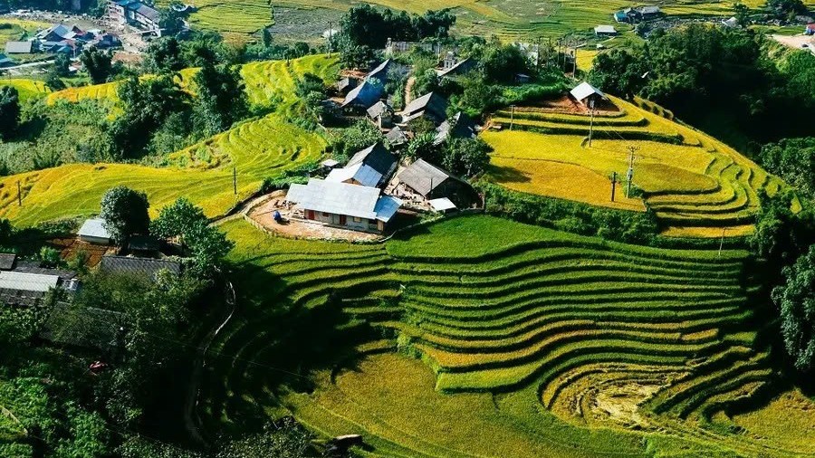 Dự báo thời tiết ngày 3/12/2025: Miền Bắc nhiều mây, mưa nhỏ rải rác