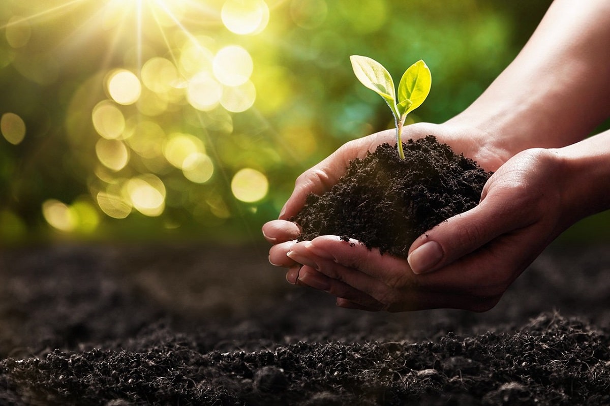 Hành trình sản phẩm nông nghiệp hữu cơ từ cánh đồng đến tay người tiêu dùng Hành trình sản phẩm nông nghiệp hữu cơ từ cánh đồng đến tay người tiêu dùng