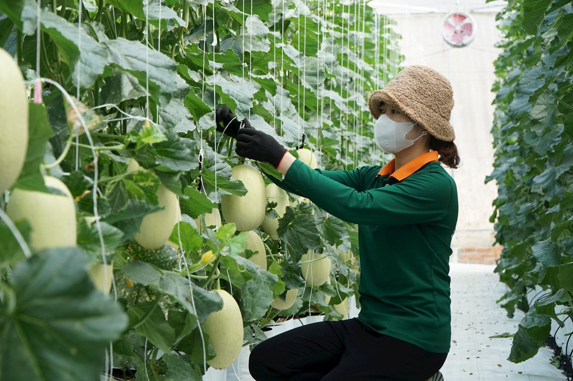 Lâm Đồng nâng chất lượng nông thôn mới, hướng tới phát triển bền vững Lâm Đồng nâng chất lượng nông thôn mới, hướng tới phát triển bền vững