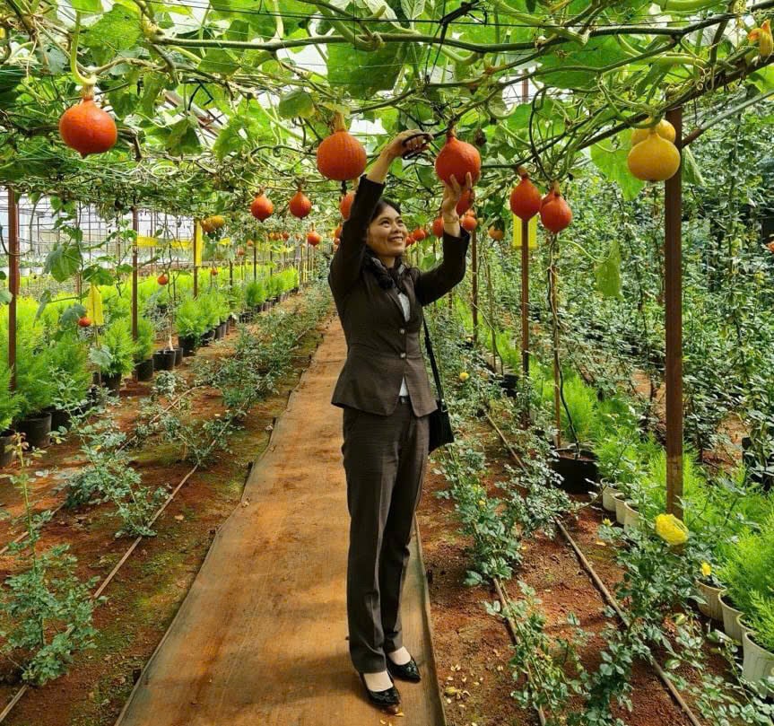 Lâm Đồng nâng chất lượng nông thôn mới, hướng tới phát triển bền vững