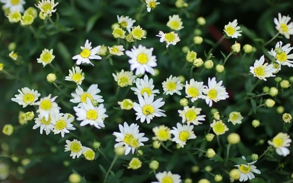 Dự báo thời tiết ngày 5/12/2025: Bắc Bộ nhiều mây, có mưa vài nơi