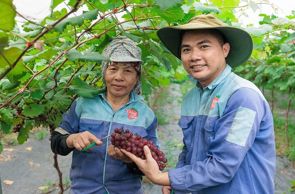 Hà Nội đẩy mạnh xây dựng nông thôn mới gắn với nông nghiệp công nghệ cao Hà Nội đẩy mạnh xây dựng nông thôn mới gắn với nông nghiệp công nghệ cao