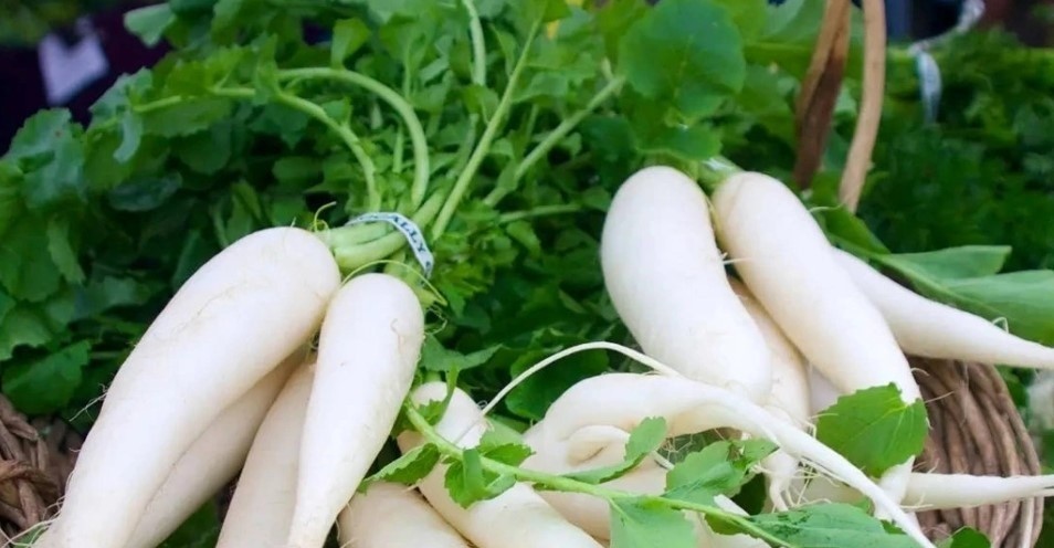 Rau củ mùa đông: Những “vị thuốc” quen thuộc giúp bồi bổ và tăng cường sức khỏe