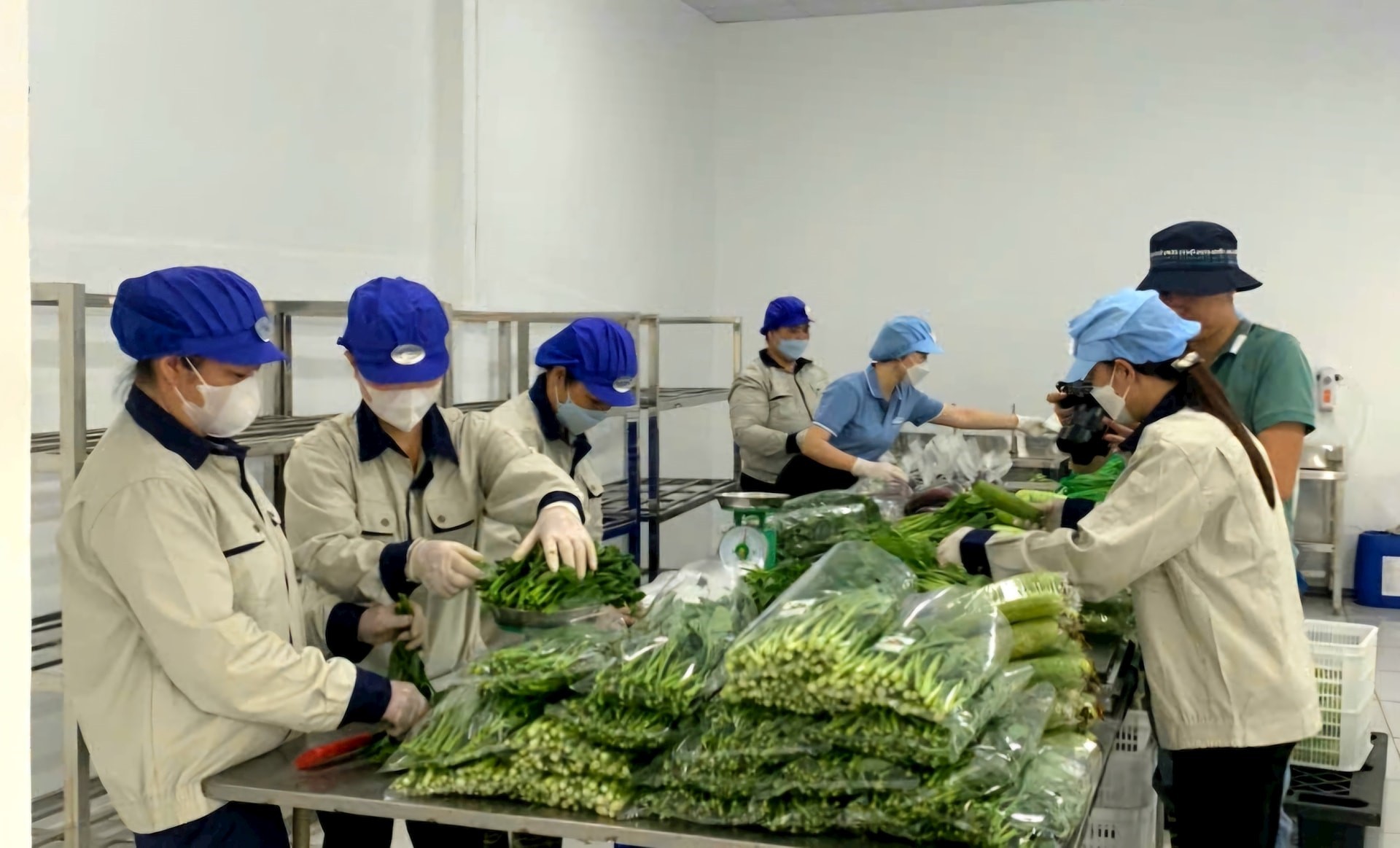 Hợp tác xã Sản xuất và Kinh doanh dịch vụ nông nghiệp Văn Đức: Hướng đến phát triển nhanh, hiện đại và bền vững Hợp tác xã Sản xuất và Kinh doanh dịch vụ nông nghiệp Văn Đức: Hướng đến phát triển nhanh, hiện đại và bền vững