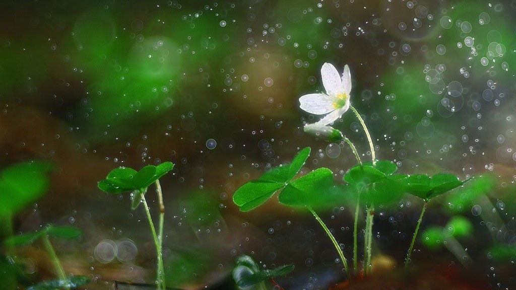 Dự báo thời tiết ngày 7/12/2025: Bắc Bộ có mưa rải rác