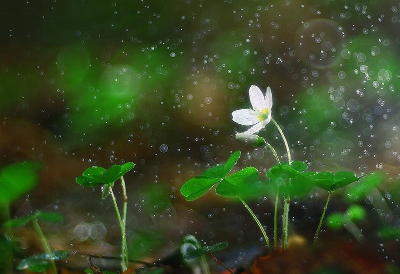Dự báo thời tiết đêm nay và ngày mai 7/12: Hà Nội và các khu vực trên cả nước Dự báo thời tiết đêm nay và ngày mai 7/12: Hà Nội và các khu vực trên cả nước