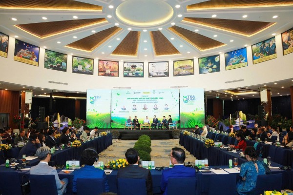 Nhiều nghiên cứu về văn hóa trà Việt được giới thiệu tại Lễ hội Trà Quốc tế