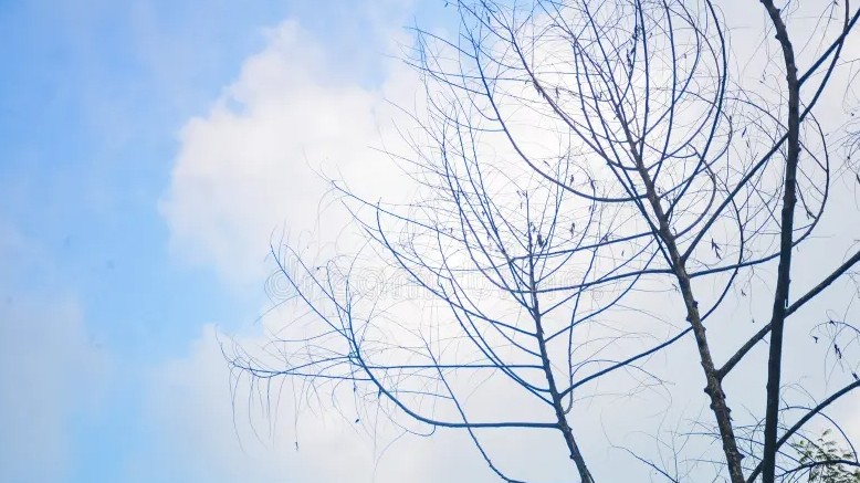 Dự báo thời tiết ngày 8/12/2025: Bắc Bộ nhiều mây, sáng sớm có sương mù nhẹ