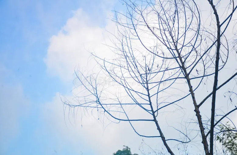 Dự báo thời tiết đêm nay và ngày mai 8/12: Hà Nội và các khu vực trên cả nước