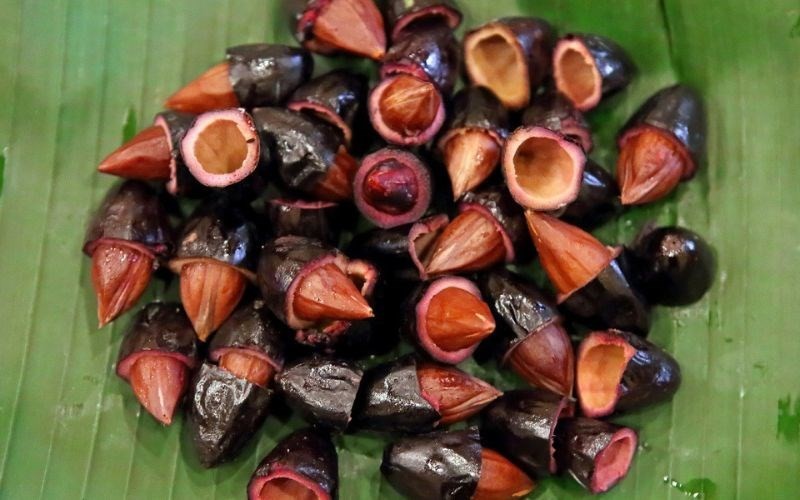 Bạn có biết: Lợi ích sức khỏe và bài thuốc từ quả trám Bạn có biết: Lợi ích sức khỏe và bài thuốc từ quả trám