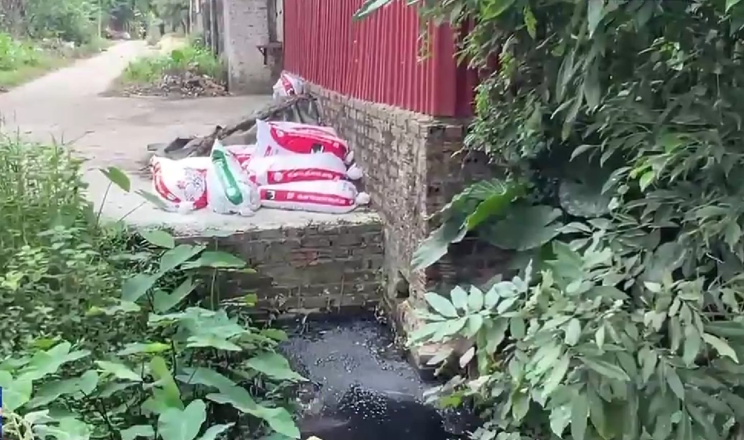 Chất thải chăn nuôi không được xử lý đúng cách là nguồn phát tán vi khuẩn, virus và ký sinh trùng gây bệnh. 