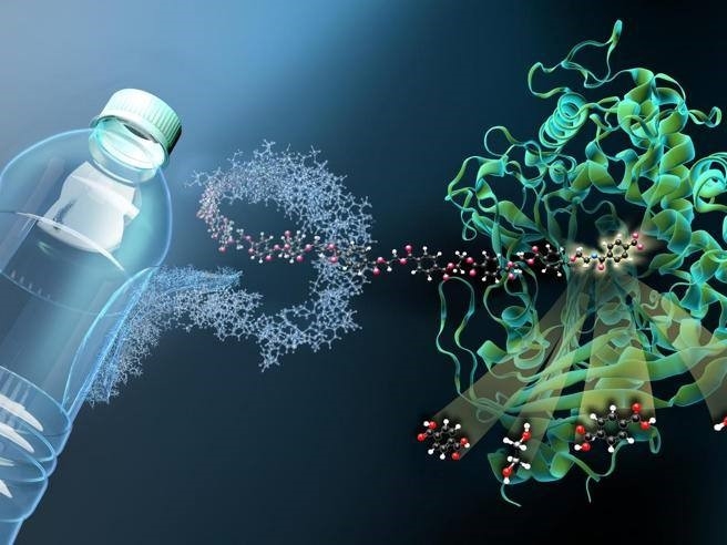 Ứng dụng công nghệ sinh học trong xử lý rác thải nông thôn Ứng dụng công nghệ sinh học trong xử lý rác thải nông thôn