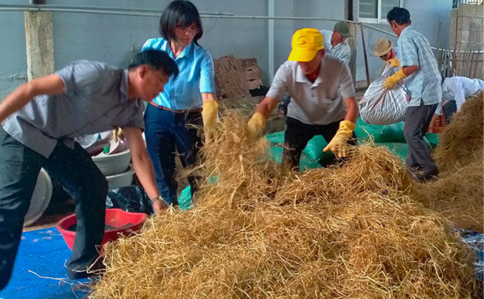 Ứng dụng công nghệ sinh học trong xử lý rác thải nông thôn