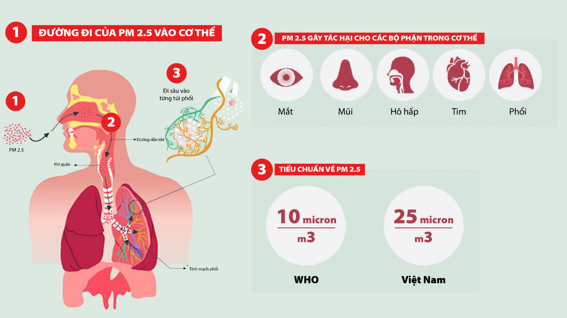 Bụi mịn PM2.5: Thứ “không thấy” nhưng tác hại khó lường tới sức khỏe Bụi mịn PM2.5: Thứ “không thấy” nhưng tác hại khó lường tới sức khỏe