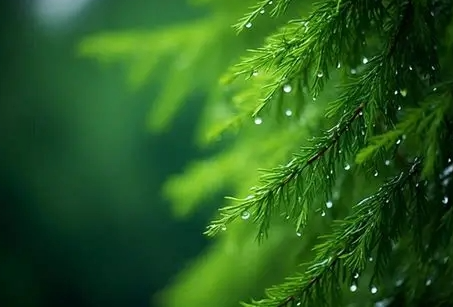 Dự báo thời tiết đêm nay và ngày mai 12/12: Hà Nội và các khu vực trên cả nước