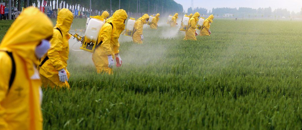 Nông nghiệp công nghiệp- Ngành kinh tế gây ô nhiễm môi trường đứng thứ 2  (Phần