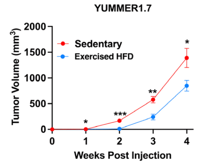 Nghiên cứu mới: Tập thể dục vũ khí quan trọng trong cuộc chiến chống ung thư Nghiên cứu mới: Tập thể dục vũ khí quan trọng trong cuộc chiến chống ung thư