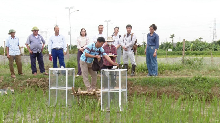 Ứng Hòa: Xây dựng nông thôn mới hiện đại, bản sắc và bền vững