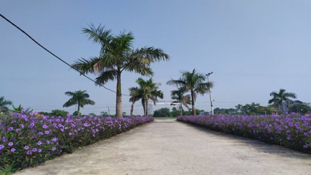 Ứng Hòa: Xây dựng nông thôn mới hiện đại, bản sắc và bền vững