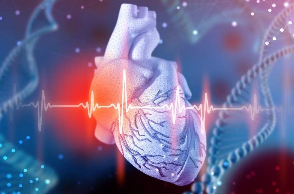 Đề xuất xây dựng cơ sở dữ liệu quốc gia về bệnh suy tim