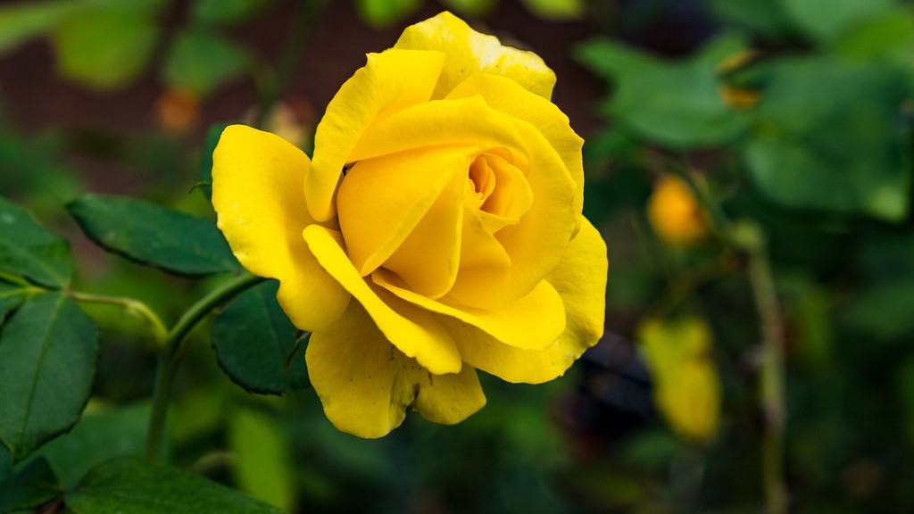 Dự báo thời tiết ngày 15/12/2025: Miền Bắc trời rét, thấp nhất 13 độ C