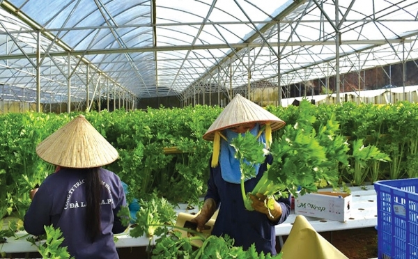 Xây dựng nông thôn mới phát triển toàn diện tại Lâm Đồng