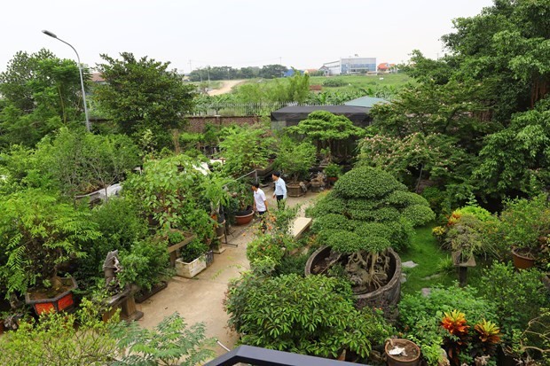 Đẩy mạnh tái cơ cấu nông nghiệp gắn với phát triển du lịch xanh tại làng nghề hoa cây cảnh Hồng Vân