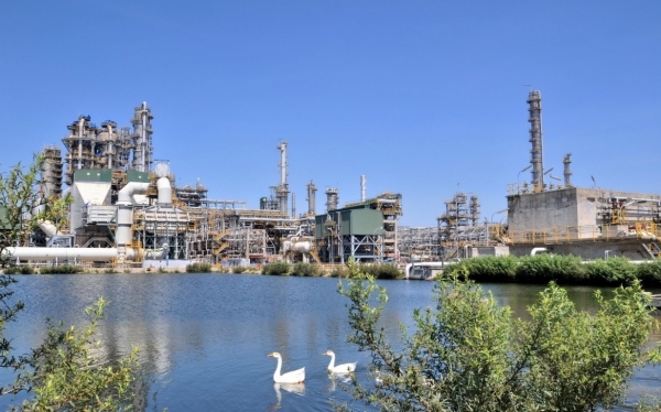 BSR chủ động vượt “bão” năm 2026