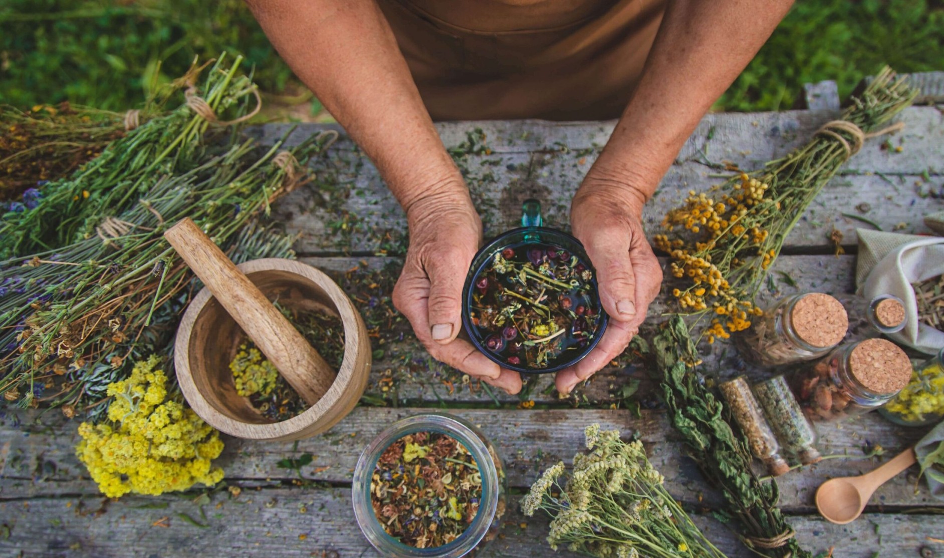 Việt Nam - Ấn Độ và cơ hội định hình chuỗi giá trị y học cổ truyền toàn cầu