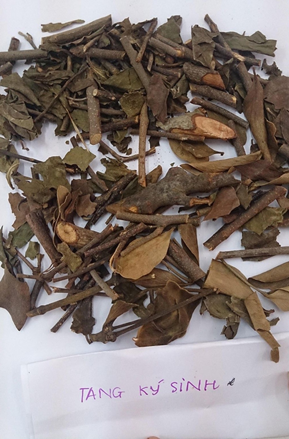 Bộ Y tế thu hồi toàn quốc dược liệu Tang ký sinh vi phạm chất lượng do Công ty TNHH Đông Dược Dân Lợi nhập khẩu Bộ Y tế thu hồi toàn quốc dược liệu Tang ký sinh vi phạm chất lượng do Công ty TNHH Đông Dược Dân Lợi nhập khẩu