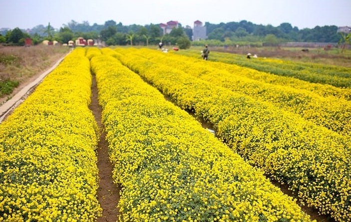 Dự báo thời tiết ngày 21/12/2025: Miền Bắc sáng sớm có sương mù, nền nhiệt tăng