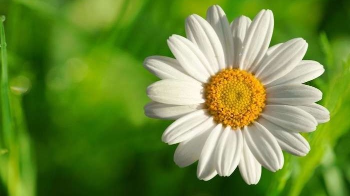 Dự báo thời tiết ngày 22/12/2025: Bắc Bộ sáng sớm có sương mù rải rác